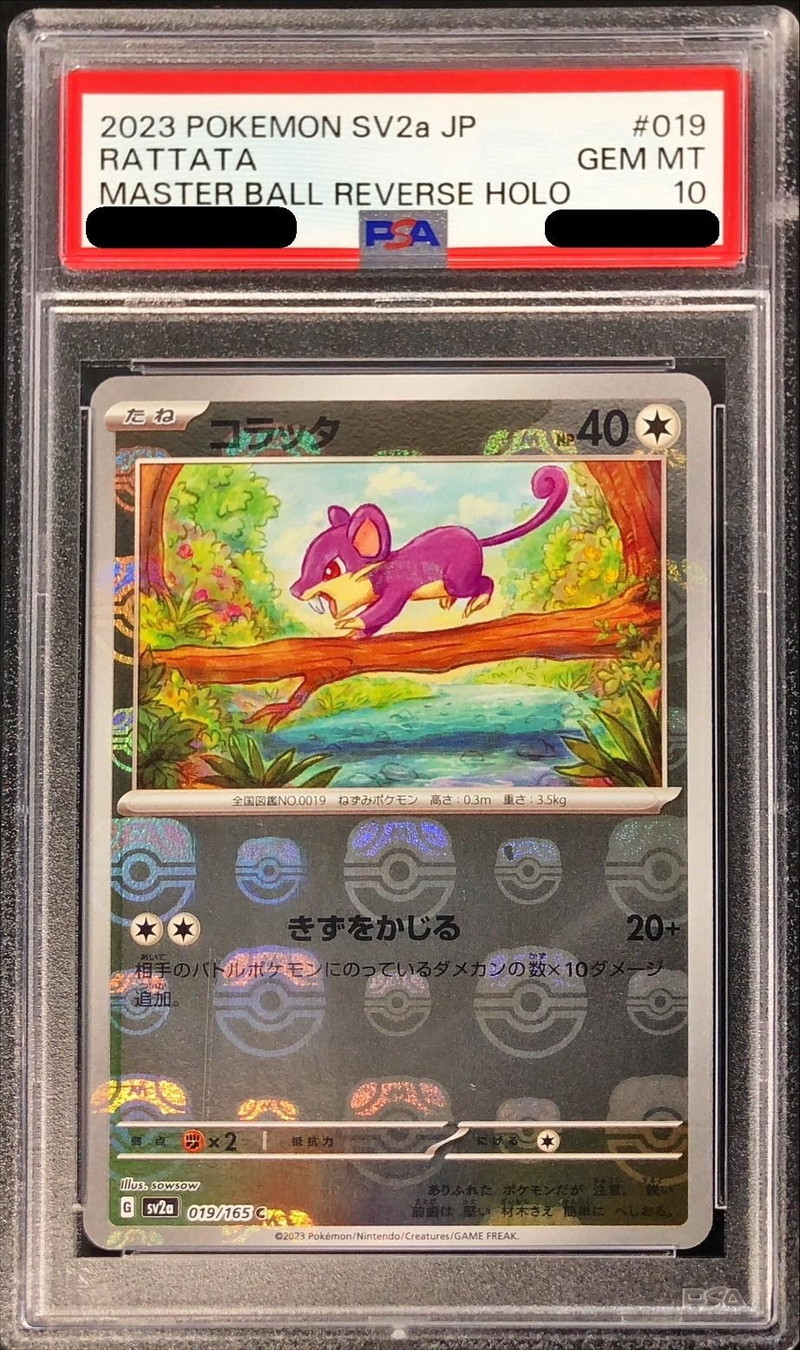 〔PSA10鑑定済〕コラッタ(マスターボールミラー)【C】{019/165}