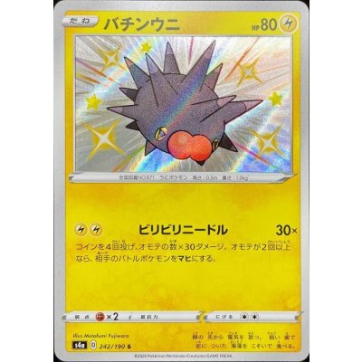 バチンウニ【S】{242/190} [s4a]